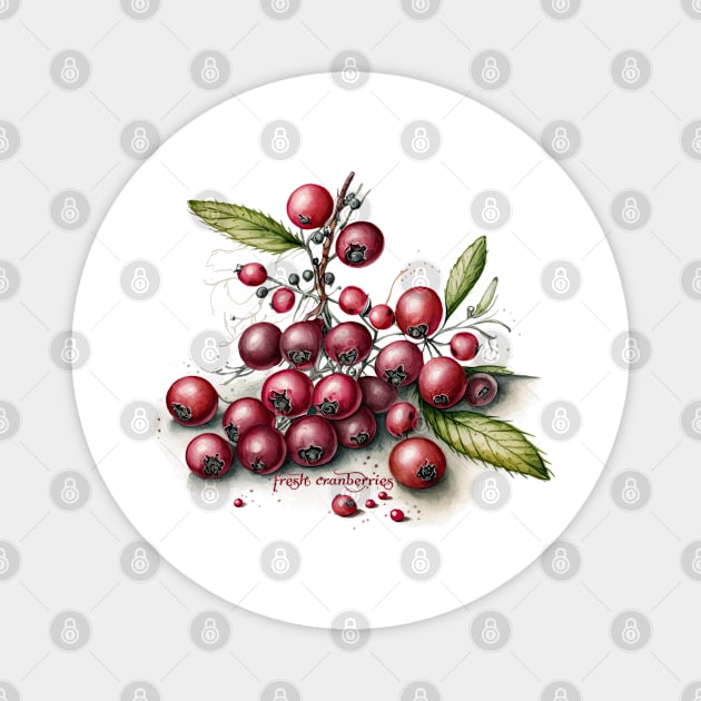 Botanical Fresh Cranberries Magnet by HolidayBug